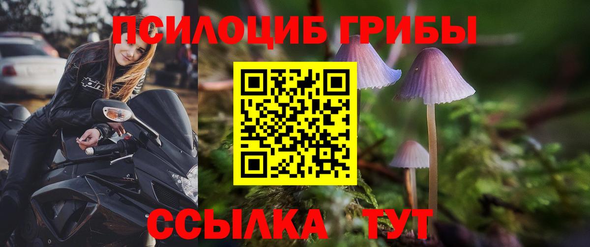 Псилоцибиновые грибы прущие грибы Нижнекамск